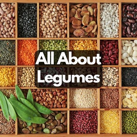 All About Legumes - List, Guide, Info - Veggie Desserts