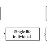 Individual Evolution 的图像结果