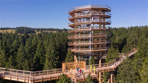 Baumwipfelpfad Pohorje in Slowenien