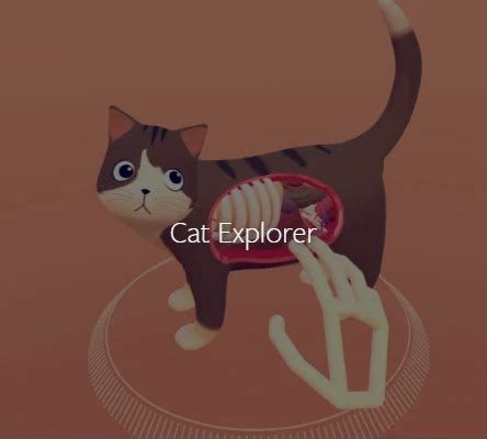 Image result for Pimax Hand Tracking Module