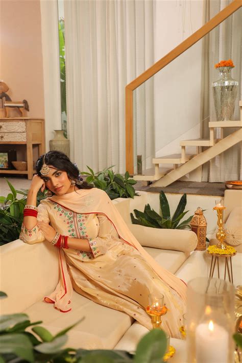 Beige Shimmer Tissue Embroidered Anarkali Suit Set – SCAKHI