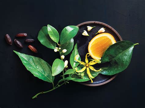 Hair on Earth – An Aveda Concept Salon in Steamboat Springs