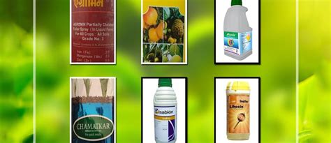 GROW THE MOST VALUABLE CROP WITH TOP QUALITY FERTILIZERS