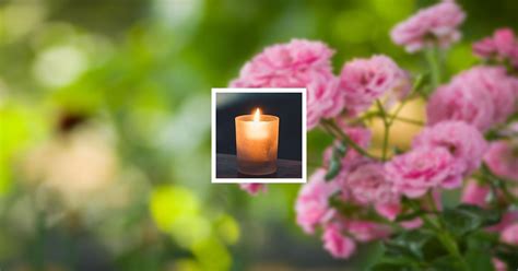 Obituary | Betty Ann Hoover of Churchville, Virginia | Coffman Funeral ...