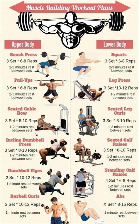 full form of gym