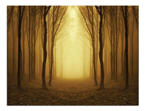 JP London Solvent Free Poster Art Print PAPXS2371 Ready to Frame Forest ...