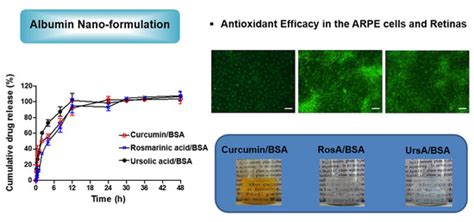 Potential Albumin-Based Antioxidant Nanoformulations for Ocular ...