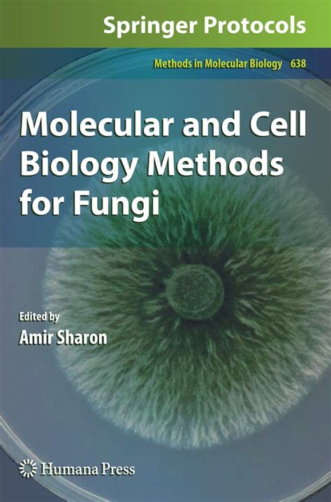 Buy Molecular and Cell Biology Methods for Fungi: 638 (Methods in ...