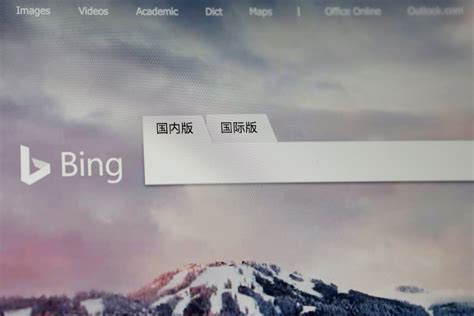 Over Bing 的图像结果