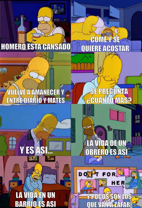Recordando el tema "Homero" de viejas locas : r/dankgentina