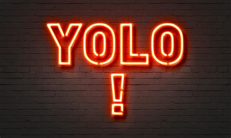 Yolo Meaning One Direction - What Does Yolo Mean