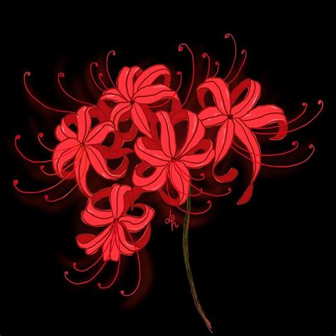 a bunch of red flowers on a black background