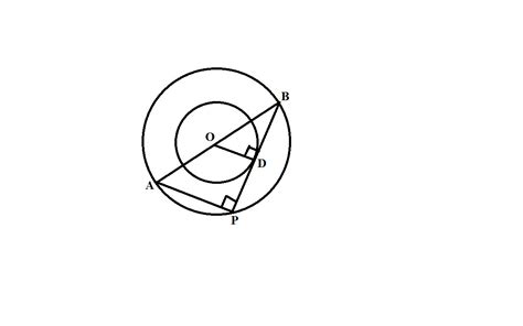 the radii of two concentric circles are 13 cm and 8 cm. AB is the ...