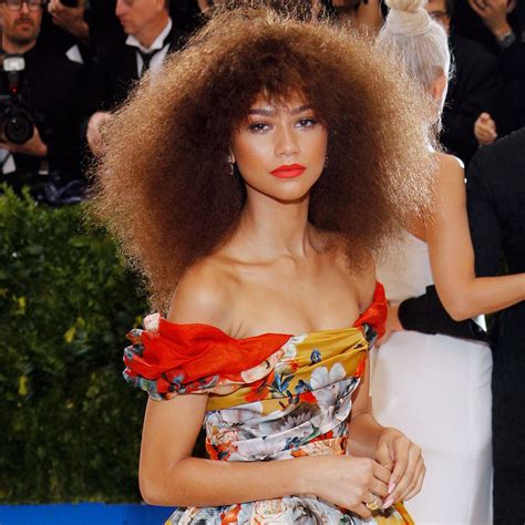 Zendaya And Other 14 Celebrities With Big Curly Hair Jetss Zendaya Is