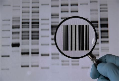 Image result for What Is Genetic Code