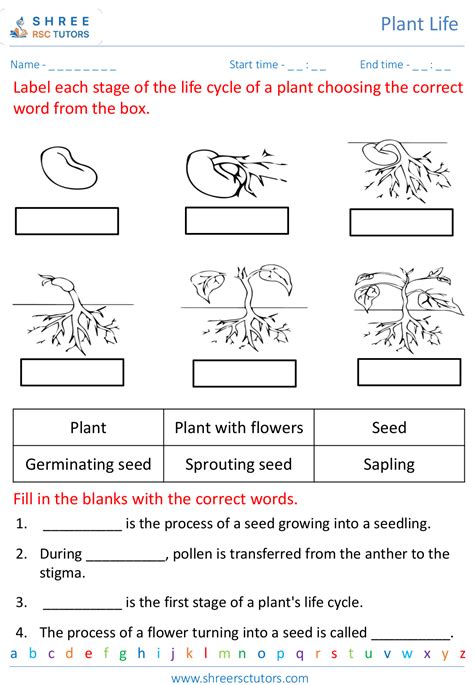 Life Cycle Of Flowering Plants Worksheet For Grade 5 Science Shree Part 4