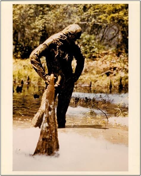 SWAMP THING - 1982 - 2 Color 8x10 Glossy Movie Photos - Adrienne ...
