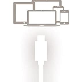 Belkin 3.1 USB-C to Micro-B Cable (Also Known as USB Type-C) - Buy ...