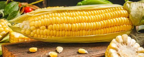 梦见收玉米有什么预兆 到收玉米什么意思 - 万年历