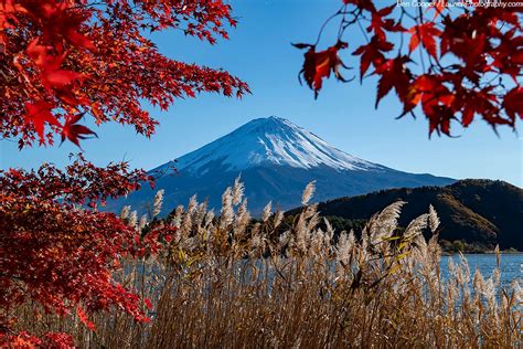 Japan Train Photography 的图像结果