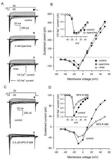 Taste Cells of the Type III Employ CASR to Maintain Steady Serotonin ...