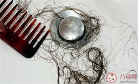 年轻男生掉头发是什么原因引起的 掉头发吃什么食物能恢复 _八宝网