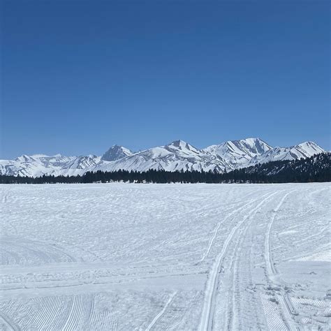 DJ'S SNOWMOBILE ADVENTURES (2026) All You Need to Know BEFORE You Go ...