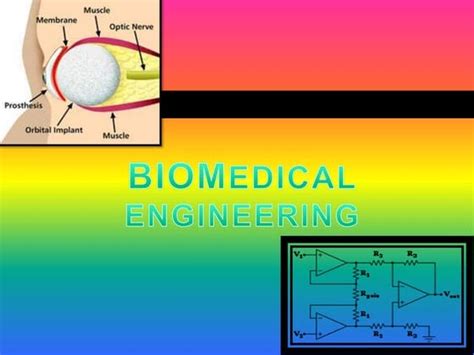 Bioengineering Biomedical Engineering 的图像结果