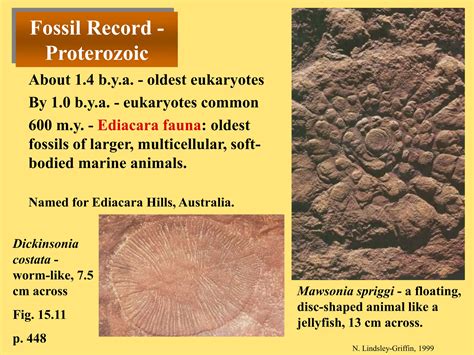 A Brief History of Life on Earth Geology Today | PPT