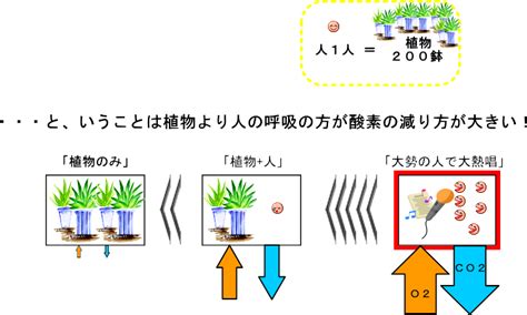 Image result for O2 and Tree Animation