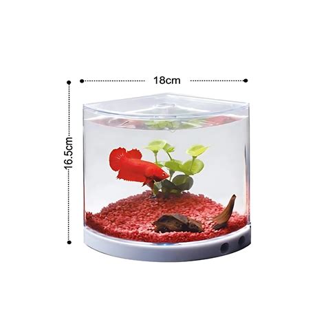 DOPHIN T-101 Mini Tank – 1L Half-Cylinder Aquarium for Small Fish ...