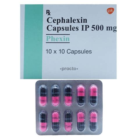 Can I Give My Dog Cephalexin 500mg