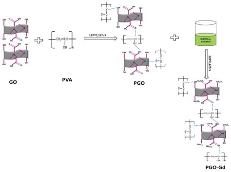 Polyvinyl Alcohol Polymer Functionalized Graphene Oxide Decorated with ...