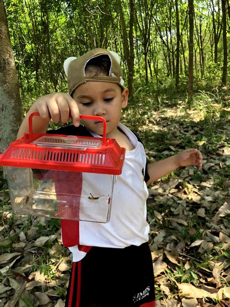 KidVision Pre-K Field Trips 的图像结果