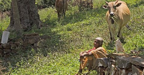 Why is the role played by women in conserving biodiversity neglected ...