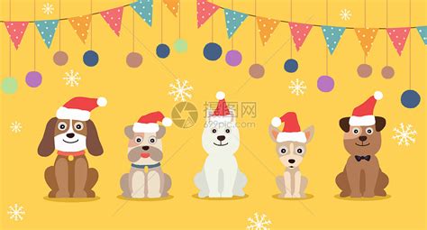 圣诞节里的宠物图片-圣诞节的小狗素材-高清图片-摄影照片-寻图免费打包下载