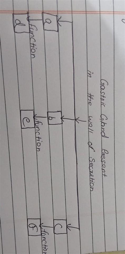 complete the following flow chart as per the given instruction ...