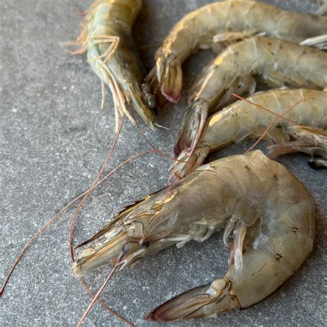 Fresh Fish Shop Near Me | Fish Shop – Greenfish