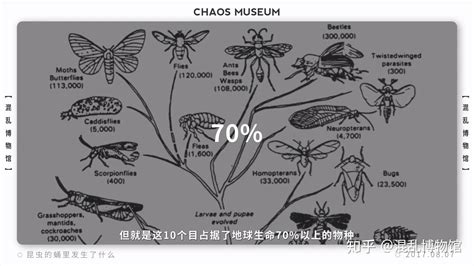 昆虫的生长发育方式-昆虫-图片