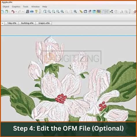 Image result for How to Open OFM Files