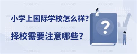 为什么要送孩子上国际学校？双语孩子表现出更高的智商