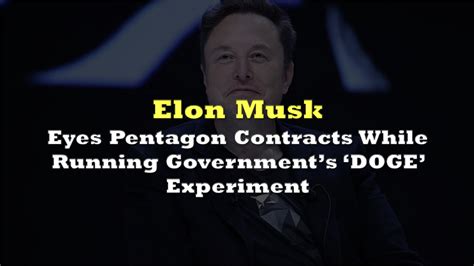 The Curious Case of Doge Elon: A Deep Dive