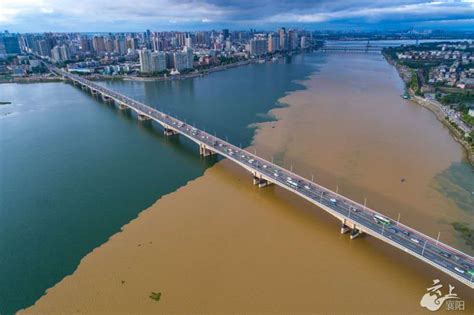 汉江襄阳段因南水北调水量减少 导致鱼类不产卵 - 华声新闻