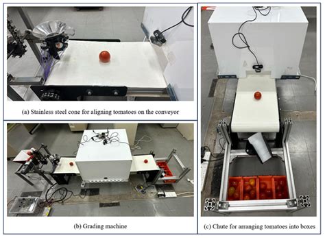 MVT-Grader: Real-Time Lightweight Multi-View CNN with Auxiliary Loss ...