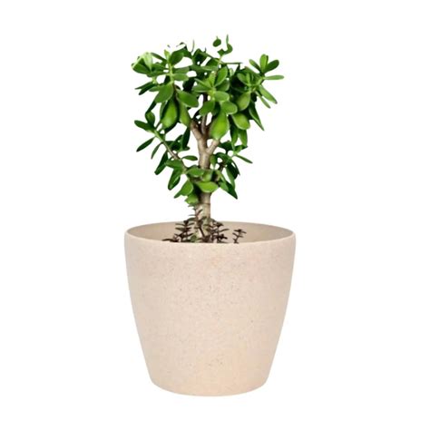 Deco Planter – 7" Terra Speckled Pot for Indoor or Outdoor Plants ...