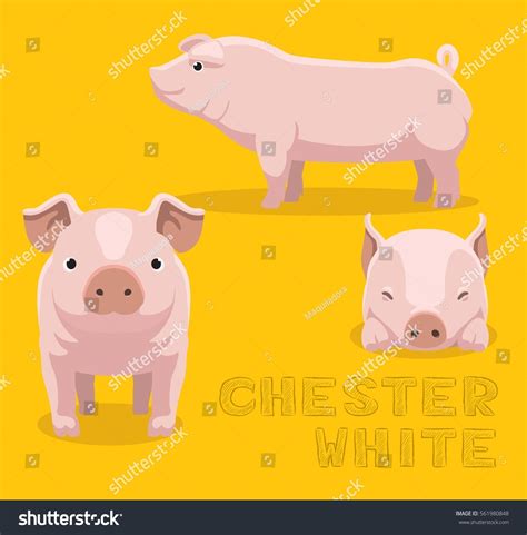Pig Chester White Cartoon Vector Illustration Stock Vector (Royalty ...