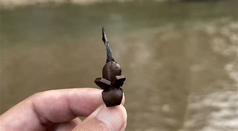 Image result for Master Splinter Fly