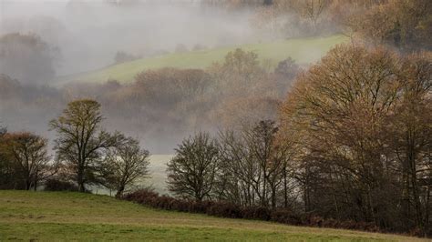 Download wallpaper 2560x1440 hills, trees, fog, lawn, landscape ...