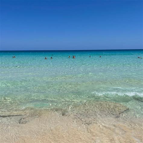 JAZ ALMAZA BEACH RESORT, ALMAZA BAY (Mersa Matruh) - Resort Reviews ...