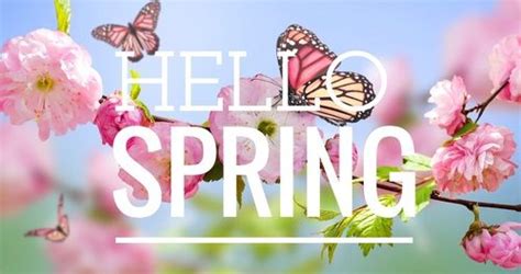Image result for Well Hello Spring